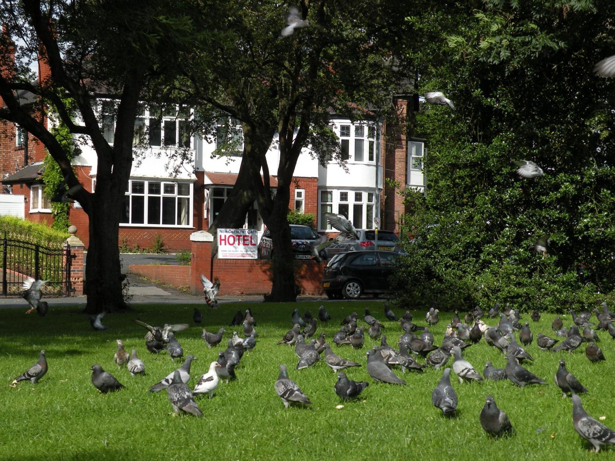 Park Crescent Hotel Manchester Dış mekan fotoğraf